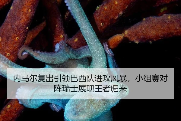 nei-ma-er-fu-chu-yin-ling-ba-xi-dui-jin-gong-feng-bao-xiao-zu-sai-dui-zhen-rui-shi-zhan-xian-wang-zhe-gui-lai-2-202.jpg